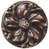 Chrysanthemum Knobs